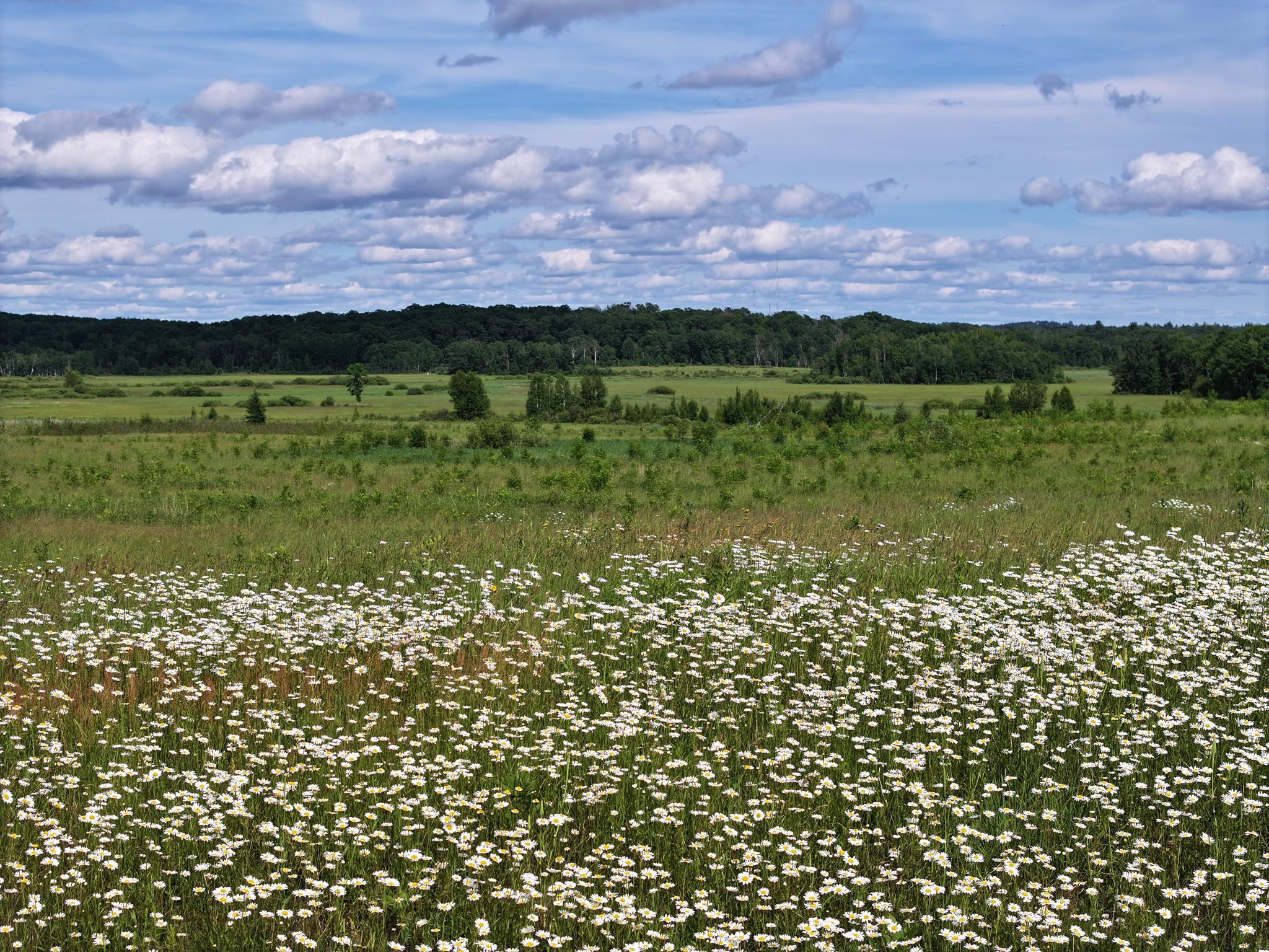 9884 County Road 1 SW