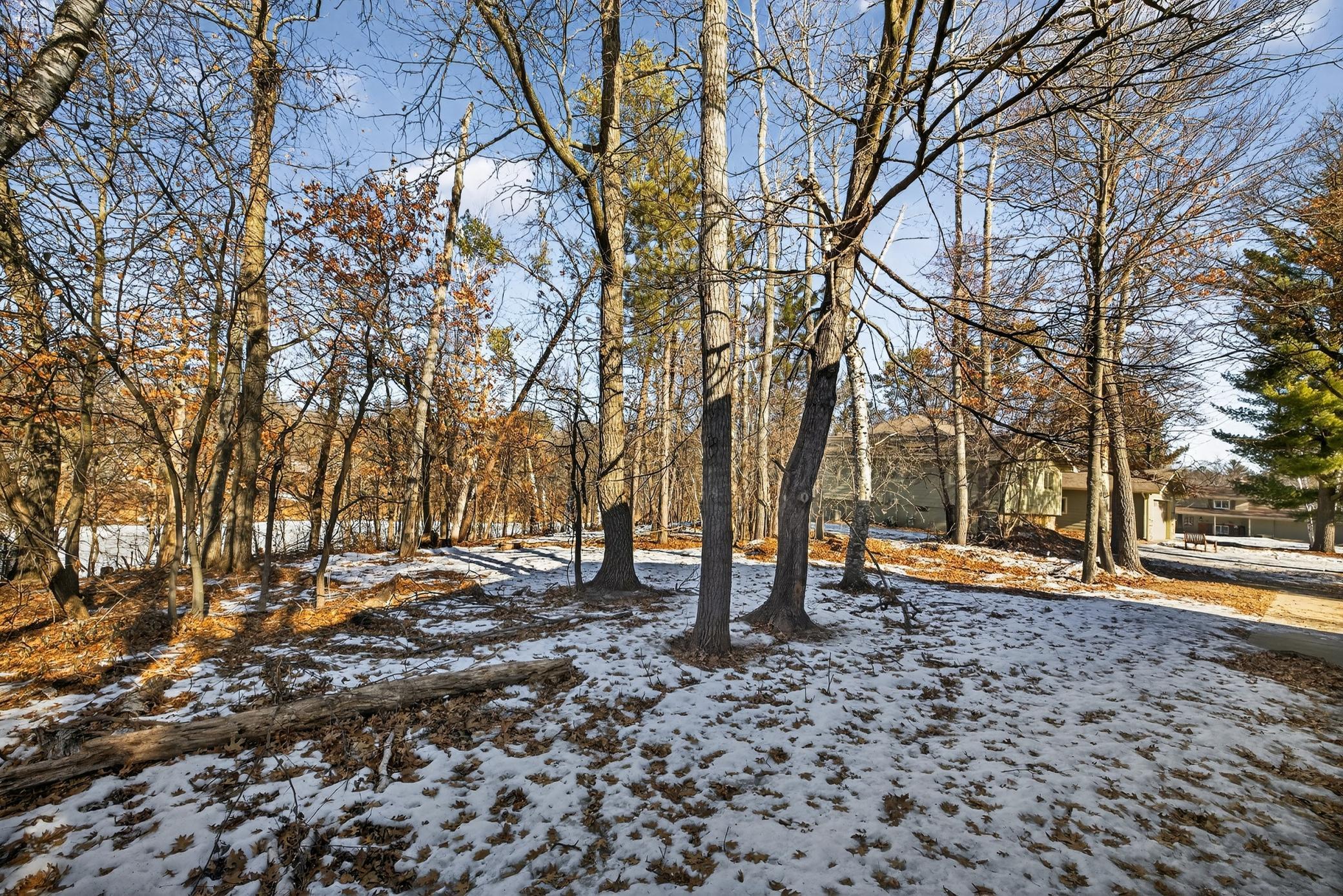 16316 Birchwood Lane