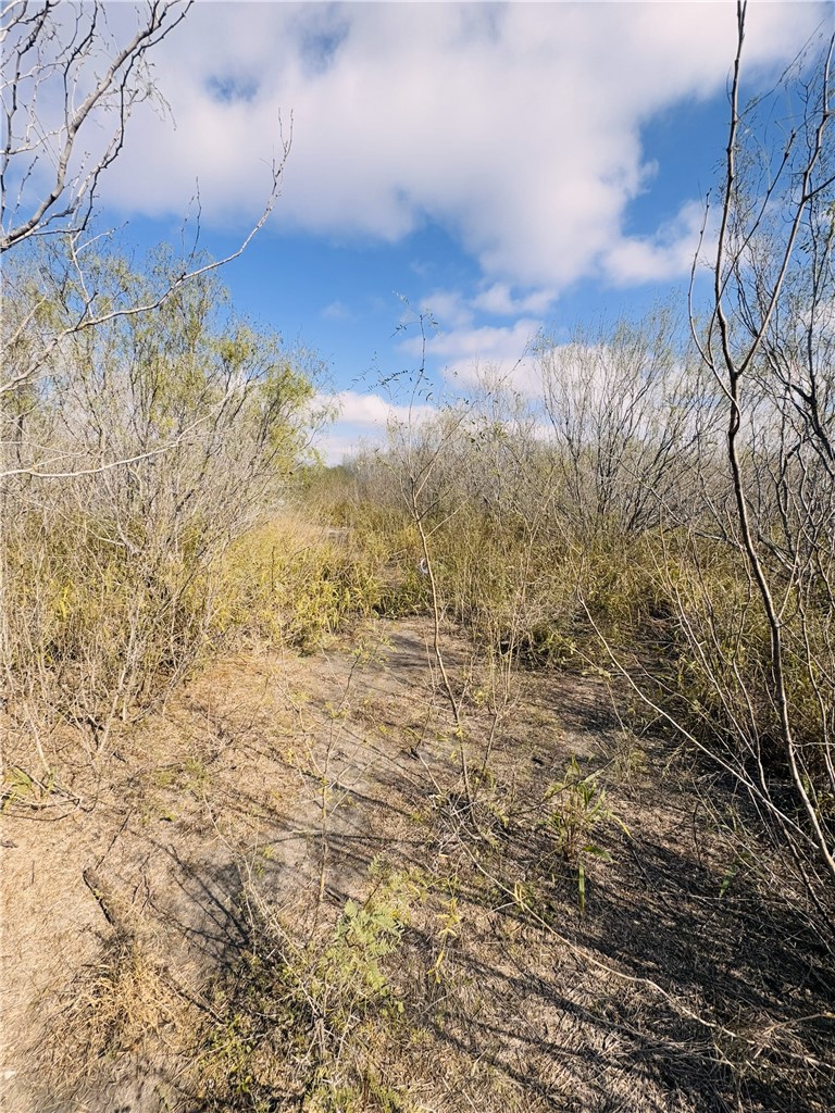 7011 County Road 12