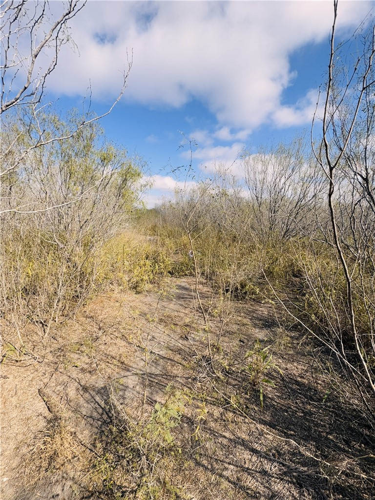 7011 County Road 12