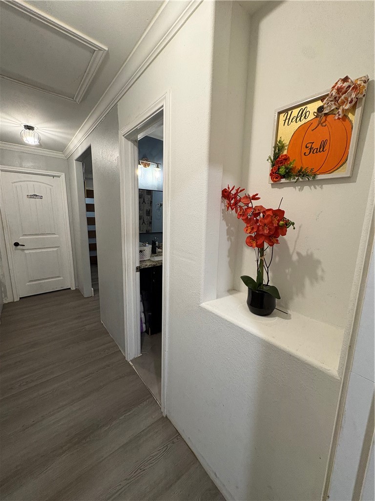 2126 Harriett Dr