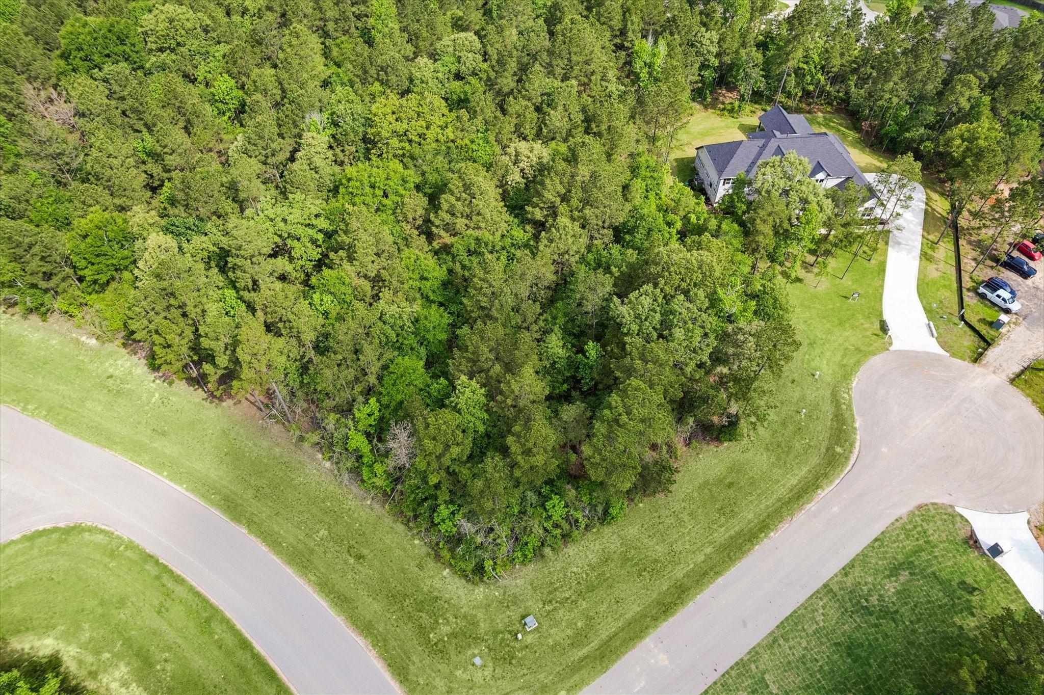 8608 Trinity Pines Court