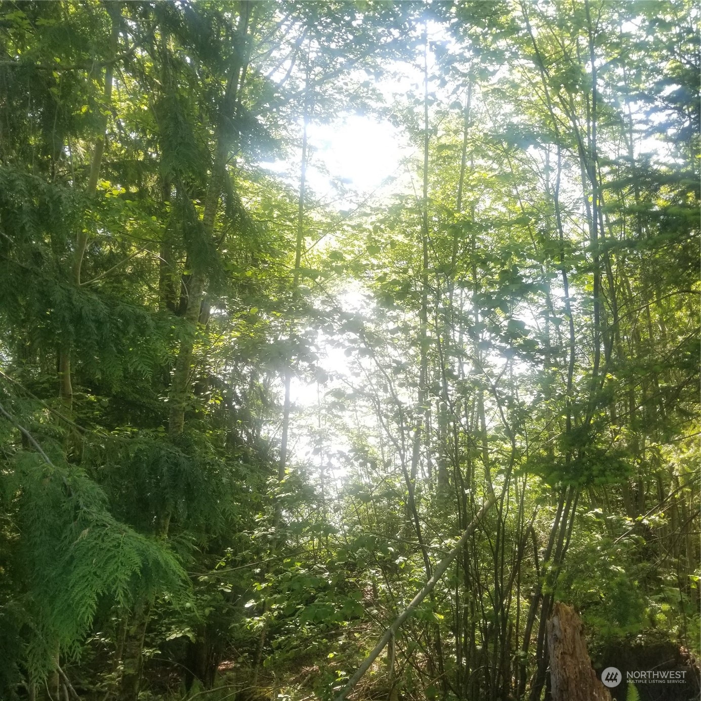 0 E Quilcene Road