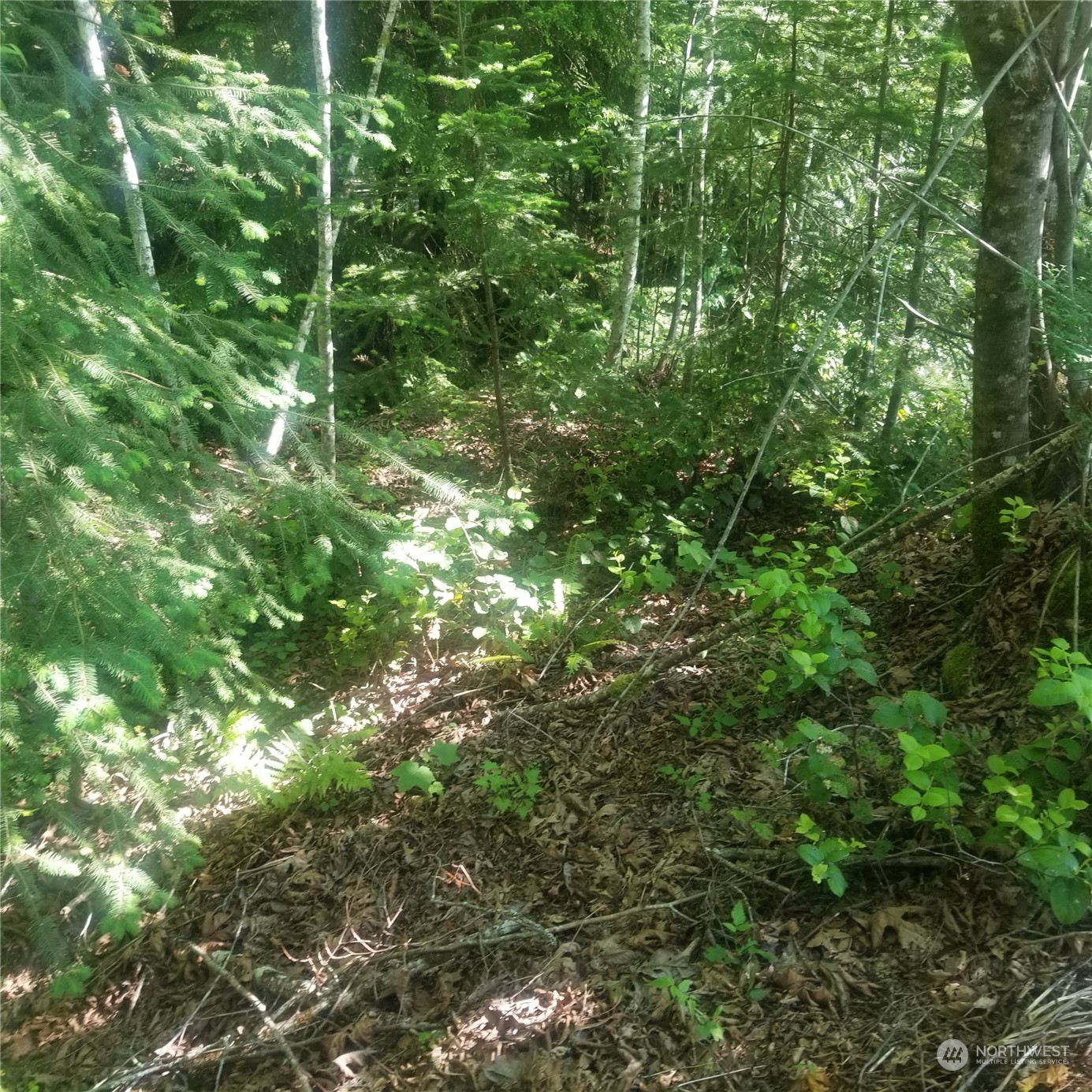 0 E Quilcene Road