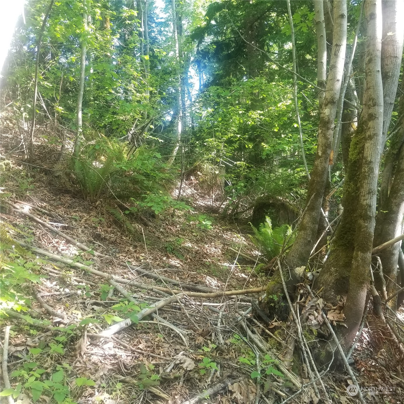 0 E Quilcene Road