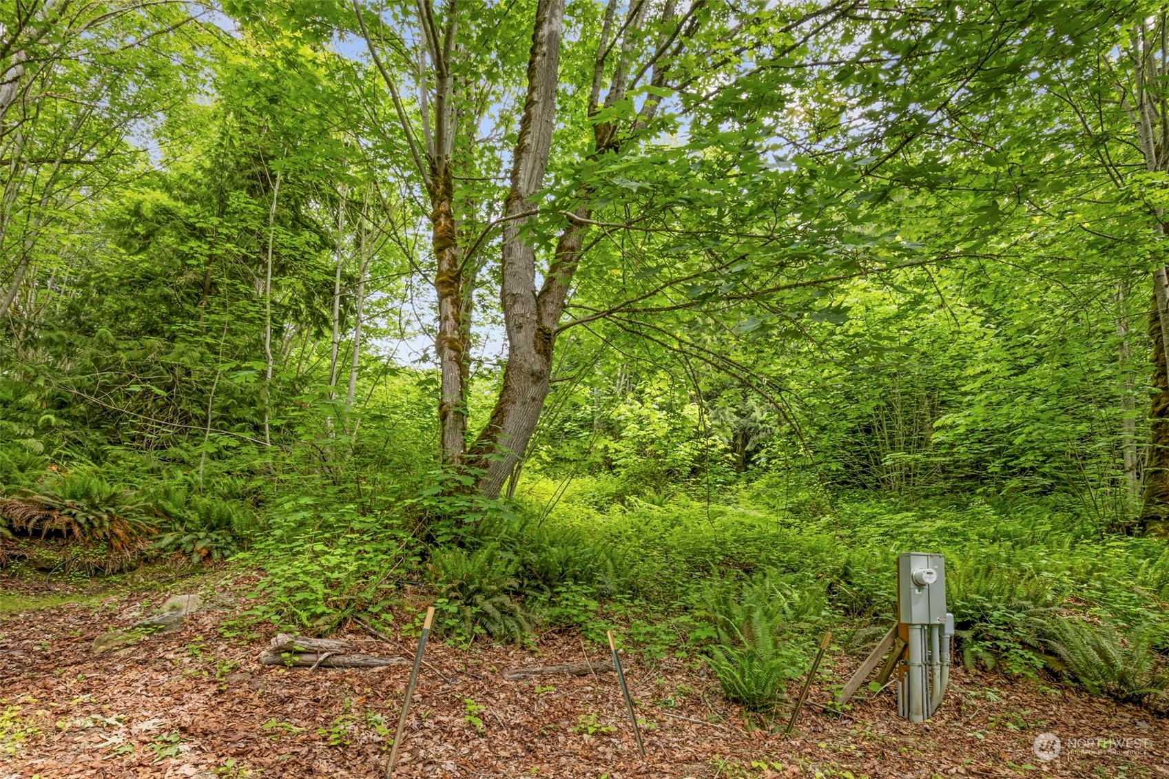 5416 Beaver Valley Road
