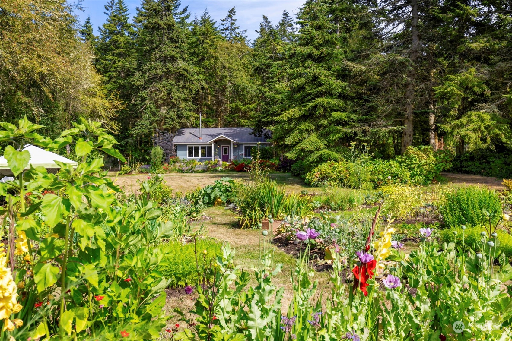 113 McCurdy Point Road