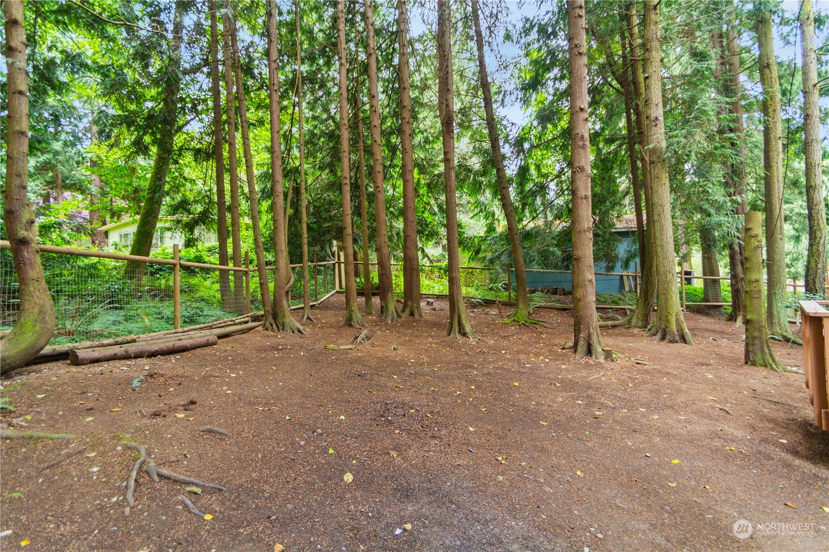 11 Hidden Trails