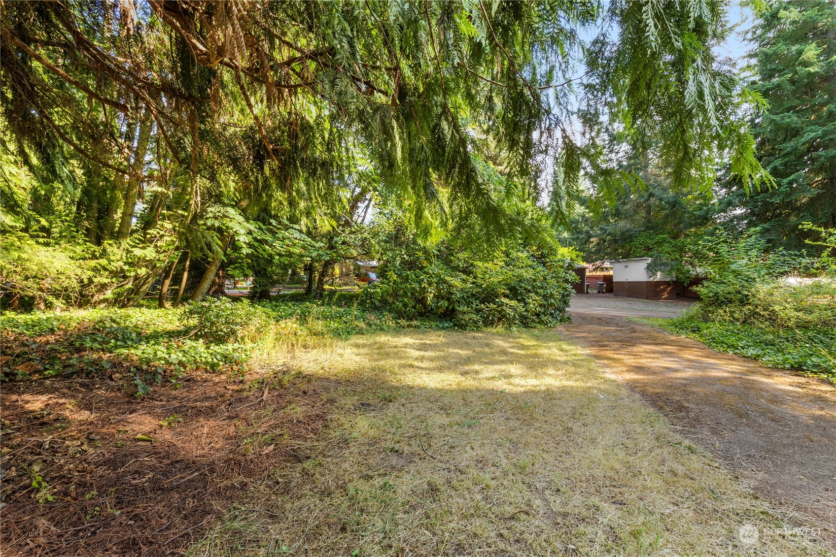 383 Dungeness Meadows