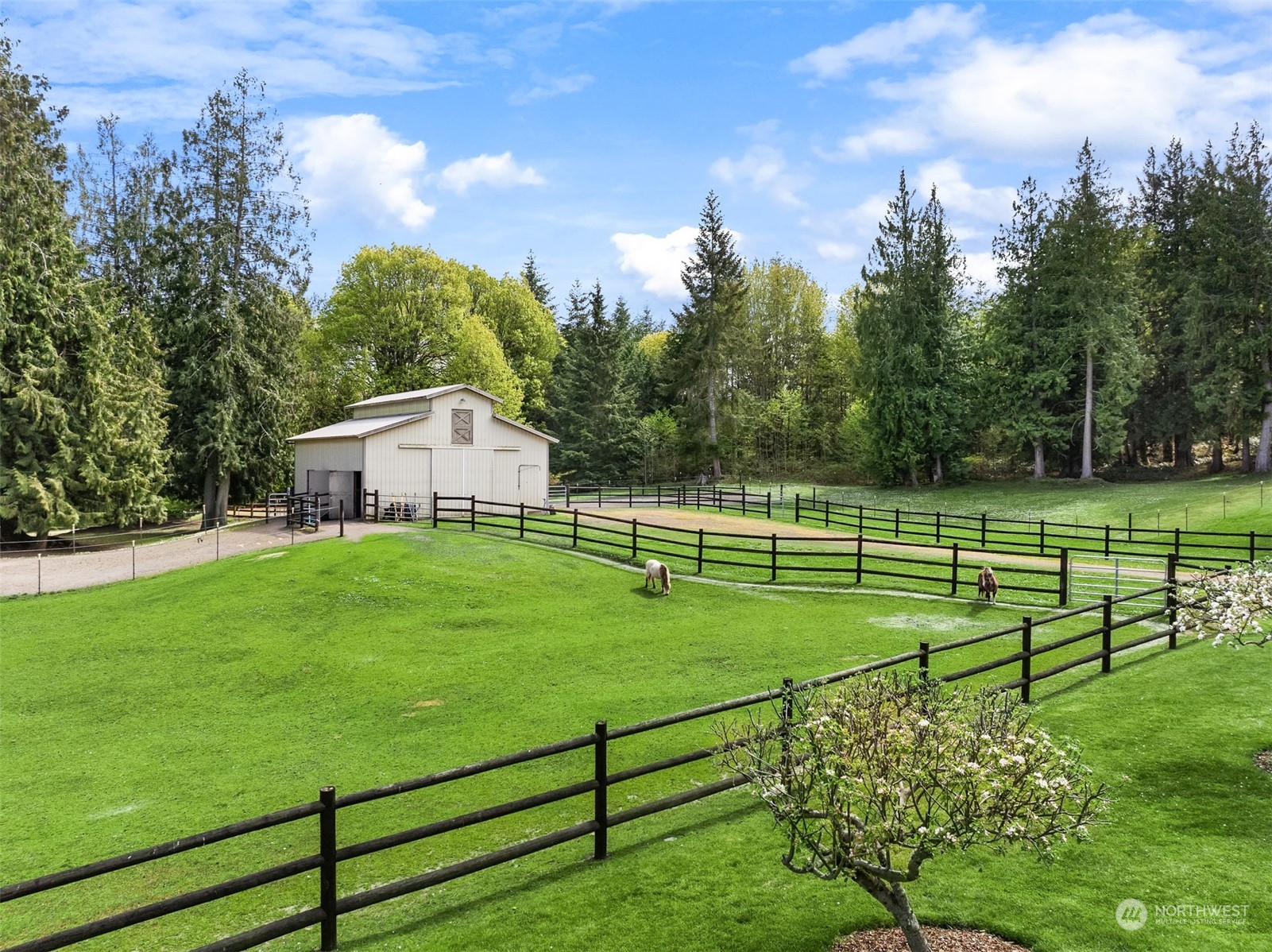 304 Gifford Hill Drive