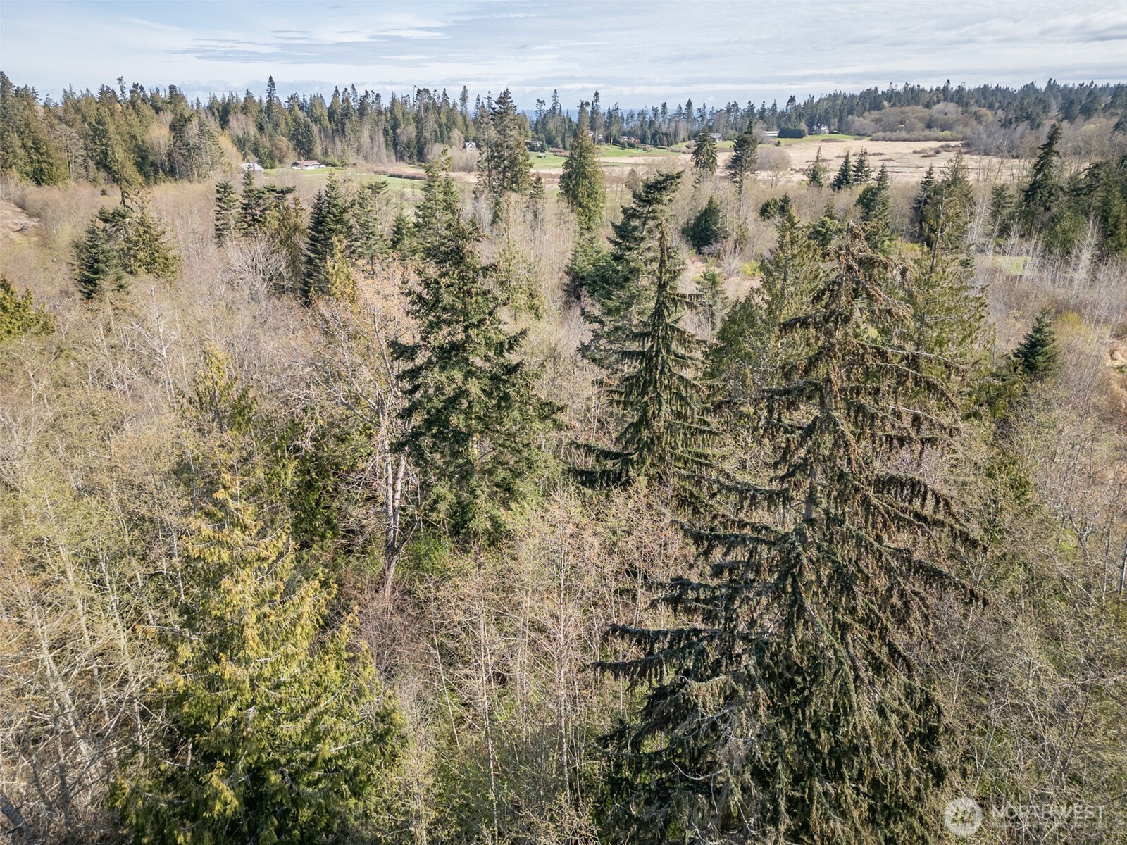 9999 N Bagley Creek Road