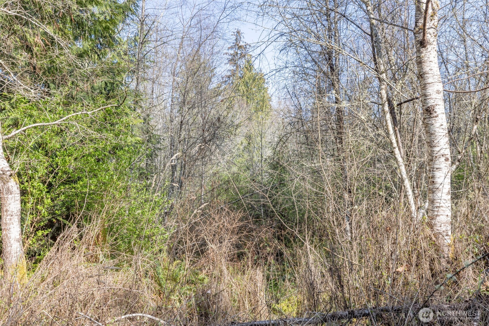 9999 N Bagley Creek Road