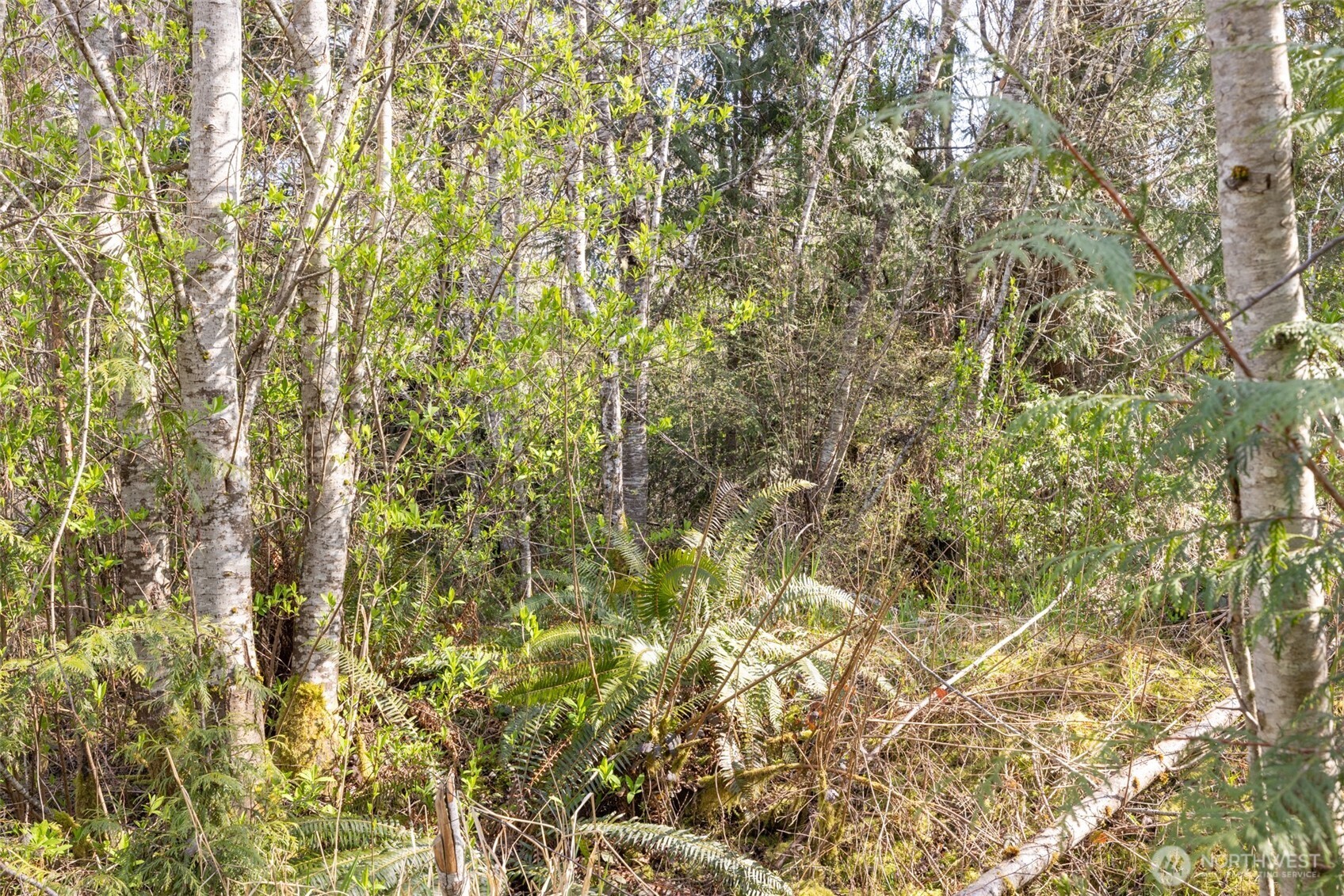 9999 N Bagley Creek Road