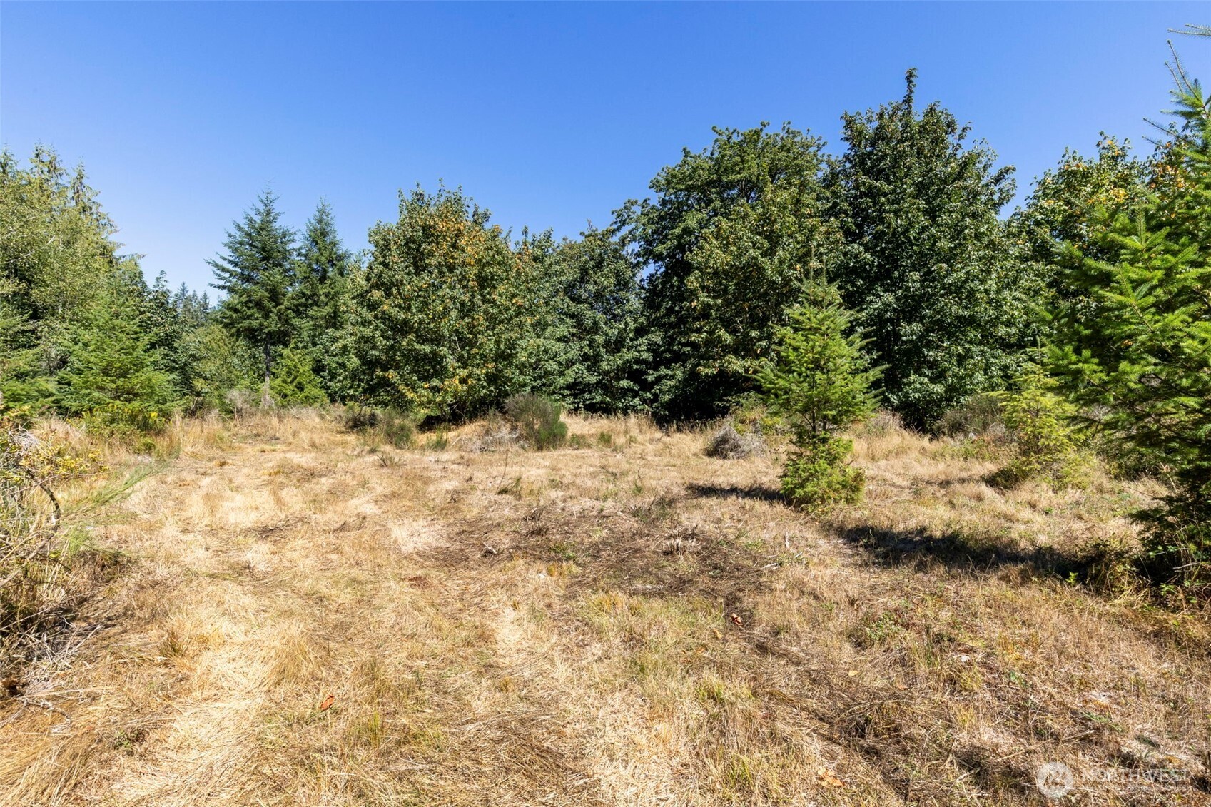 0 Larson Lake Rd