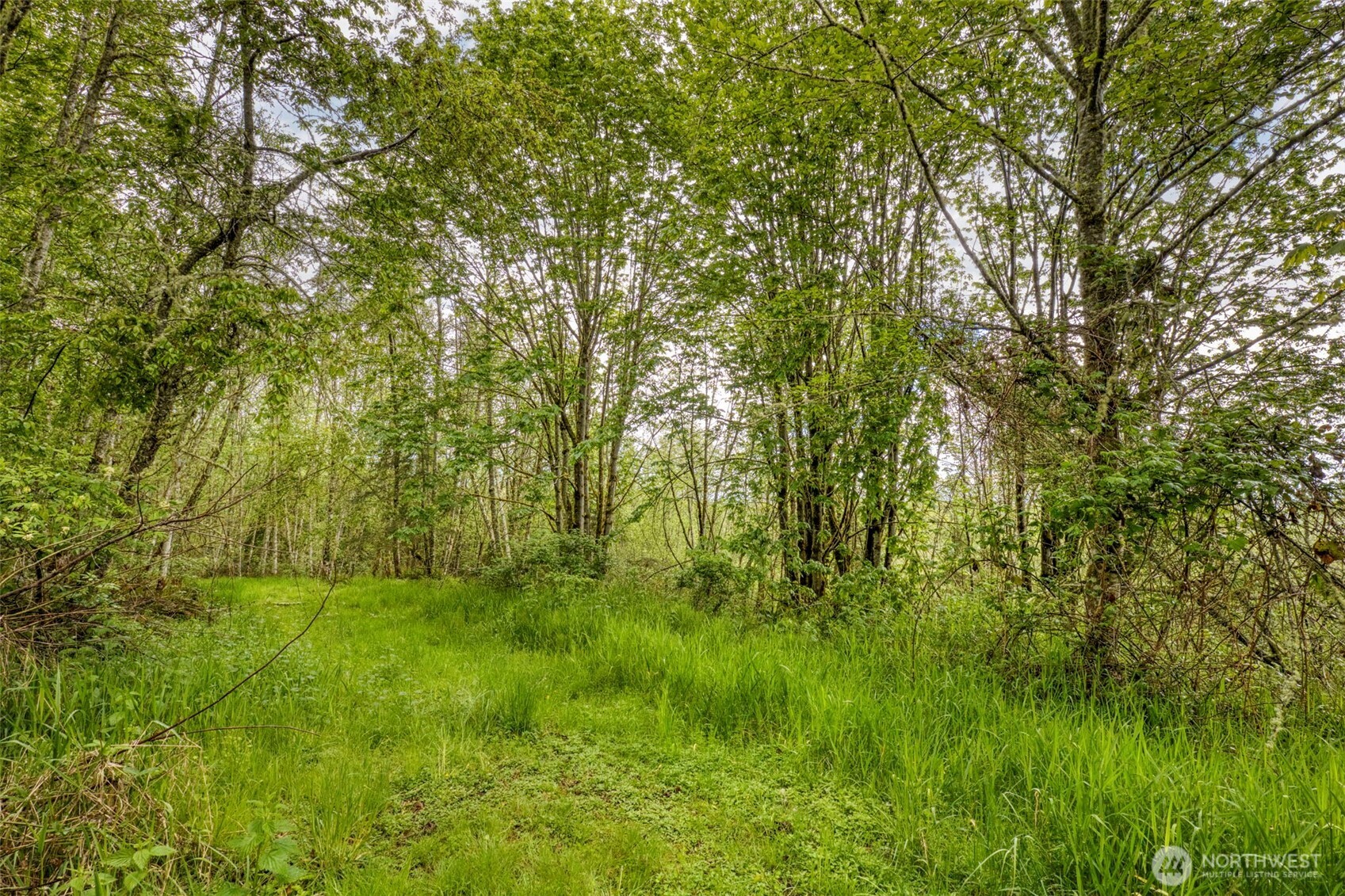 0 Elkhorn Lane