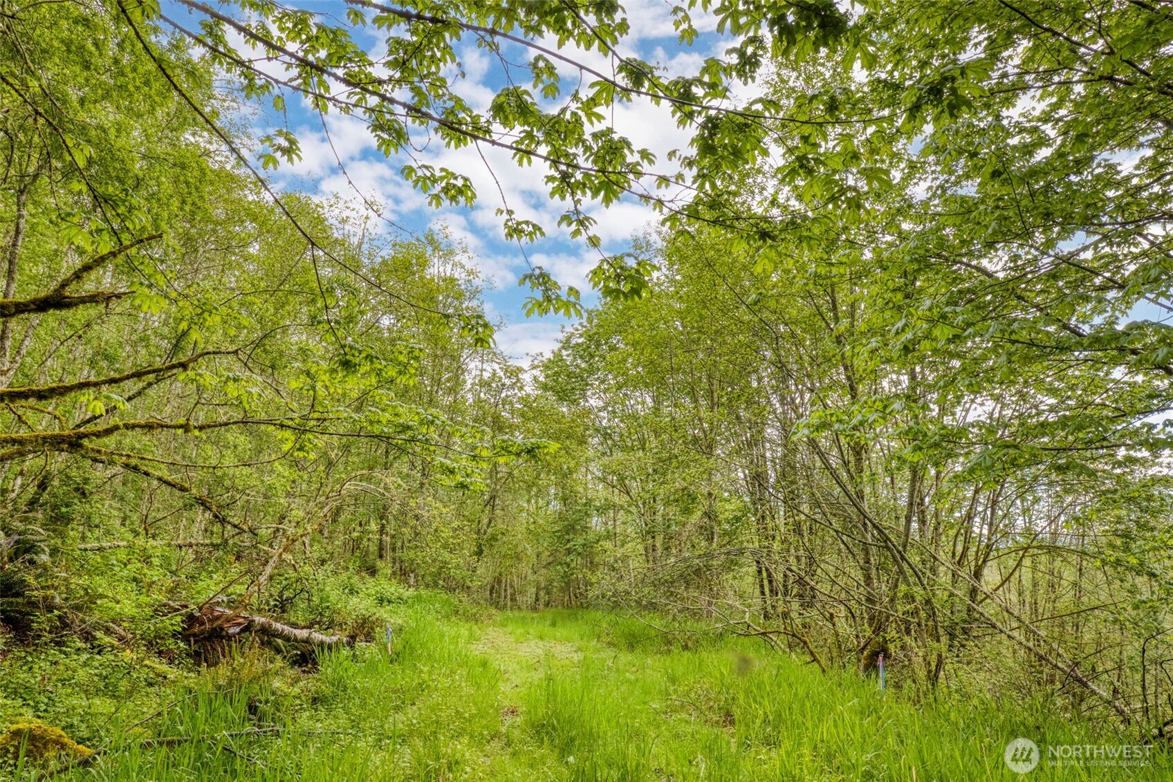 0 Elkhorn Lane