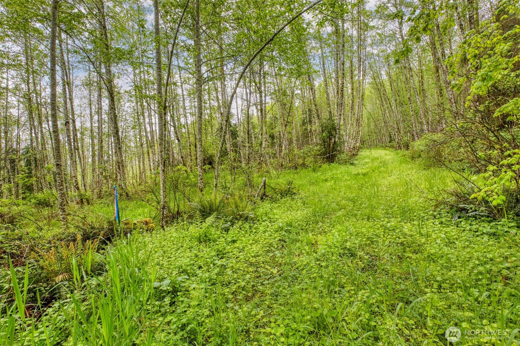 0 Elkhorn Lane