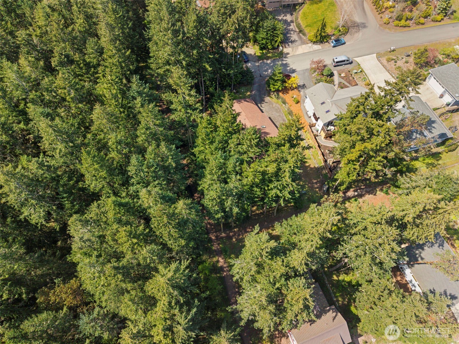 3912 Holcomb
