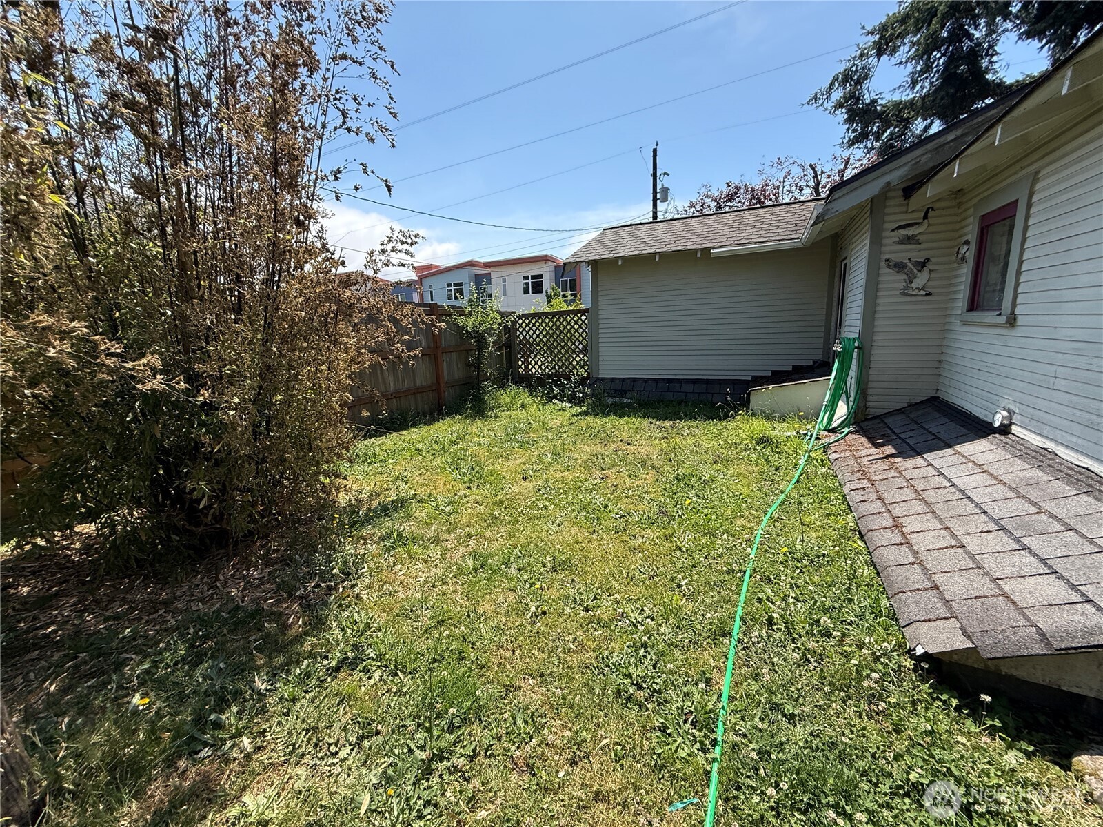 1336 7th Street