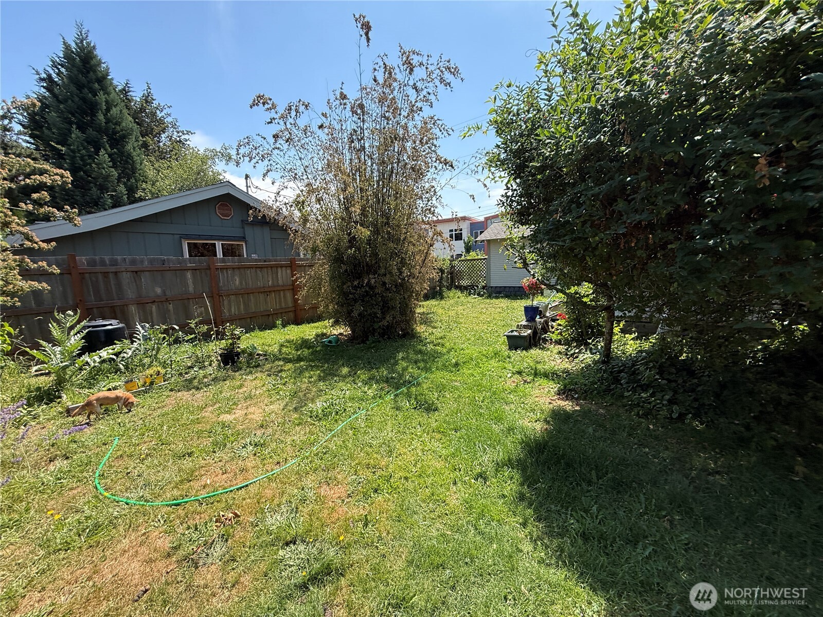 1336 7th Street