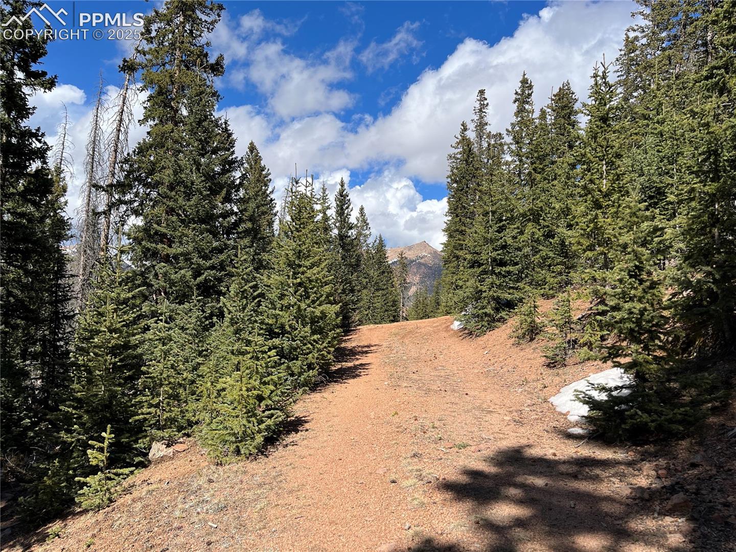 Unknown Road