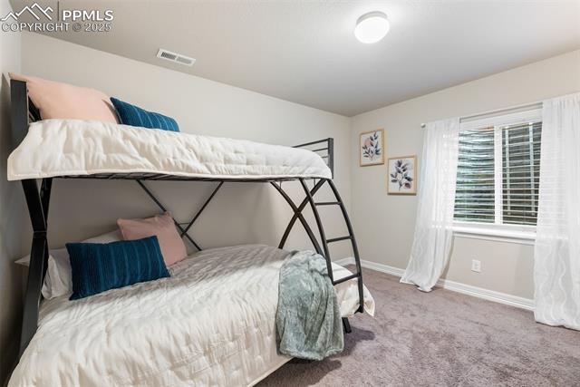 12712 Scenic Walk Drive