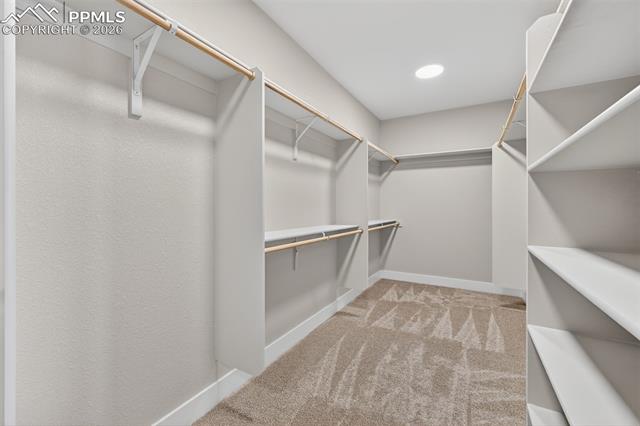 18605 Prairie Coach View