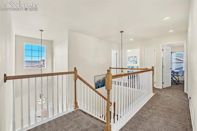 6709 Summer Grace Street