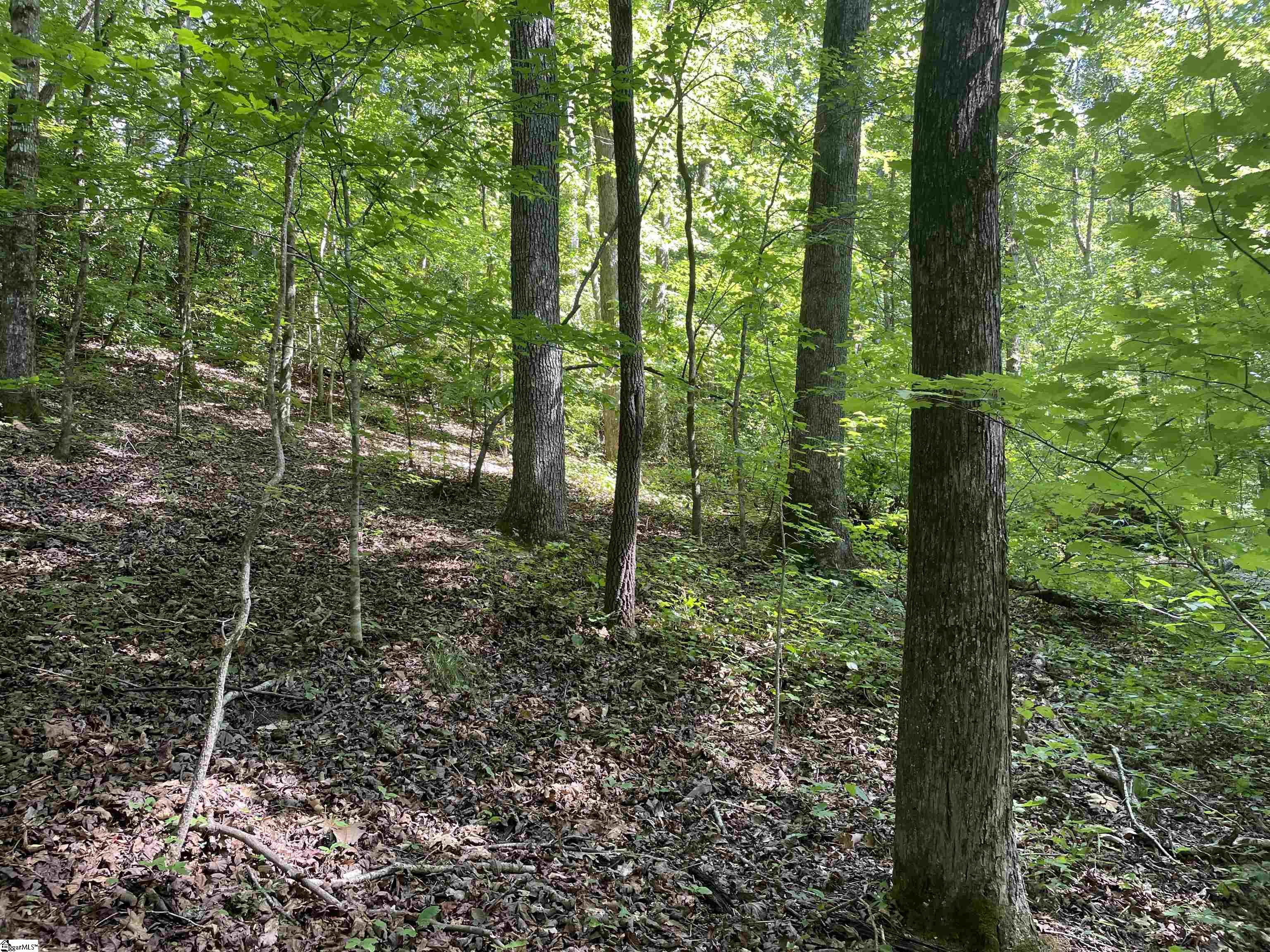 297 Woodall Mountain Road
