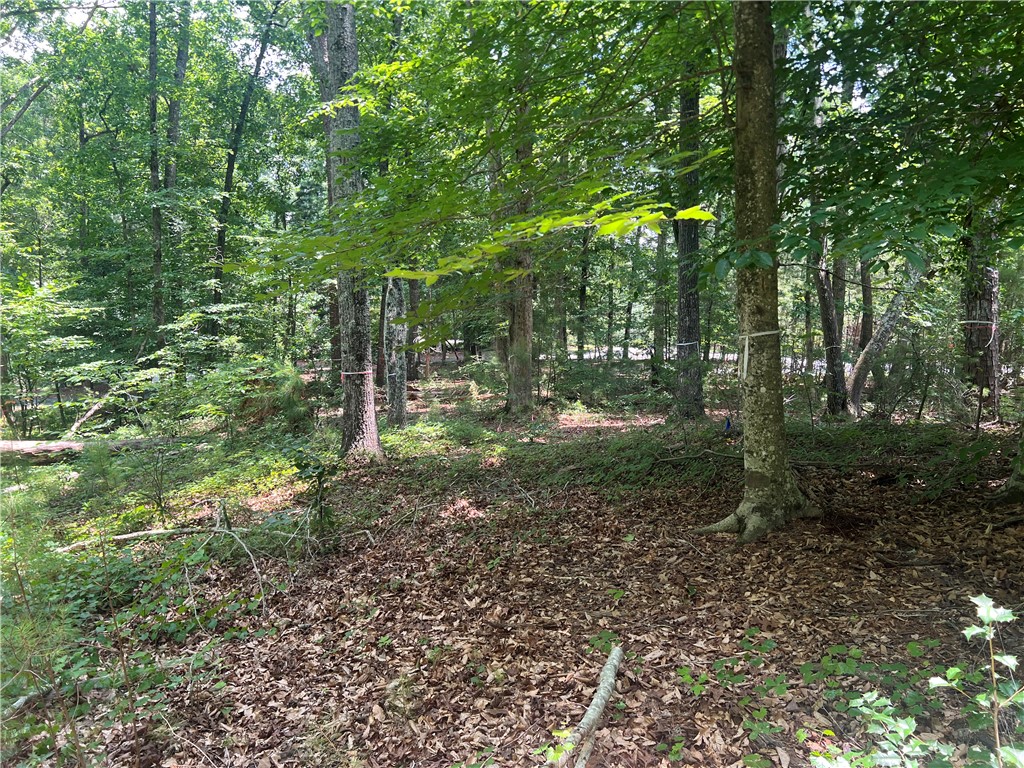 00 Promontory Ridge Lot 45 Stillwater