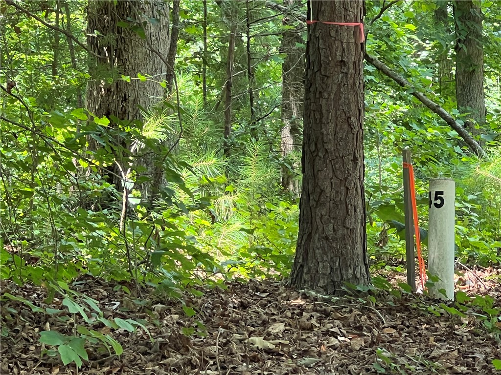 00 Promontory Ridge Lot 45 Stillwater