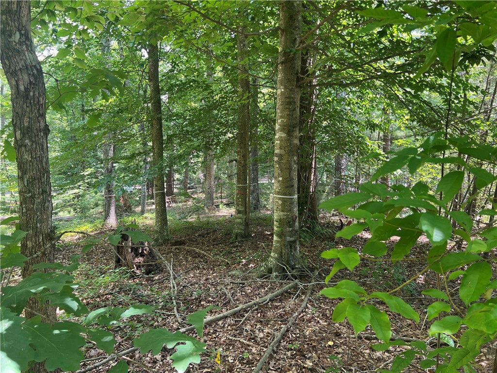 00 Promontory Ridge Lot 45 Stillwater
