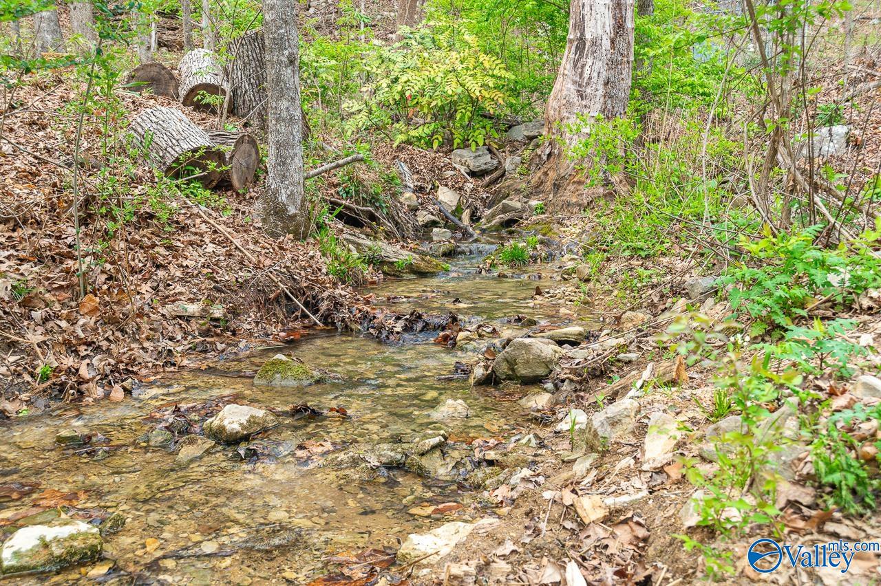 1421 Chandler Road SE