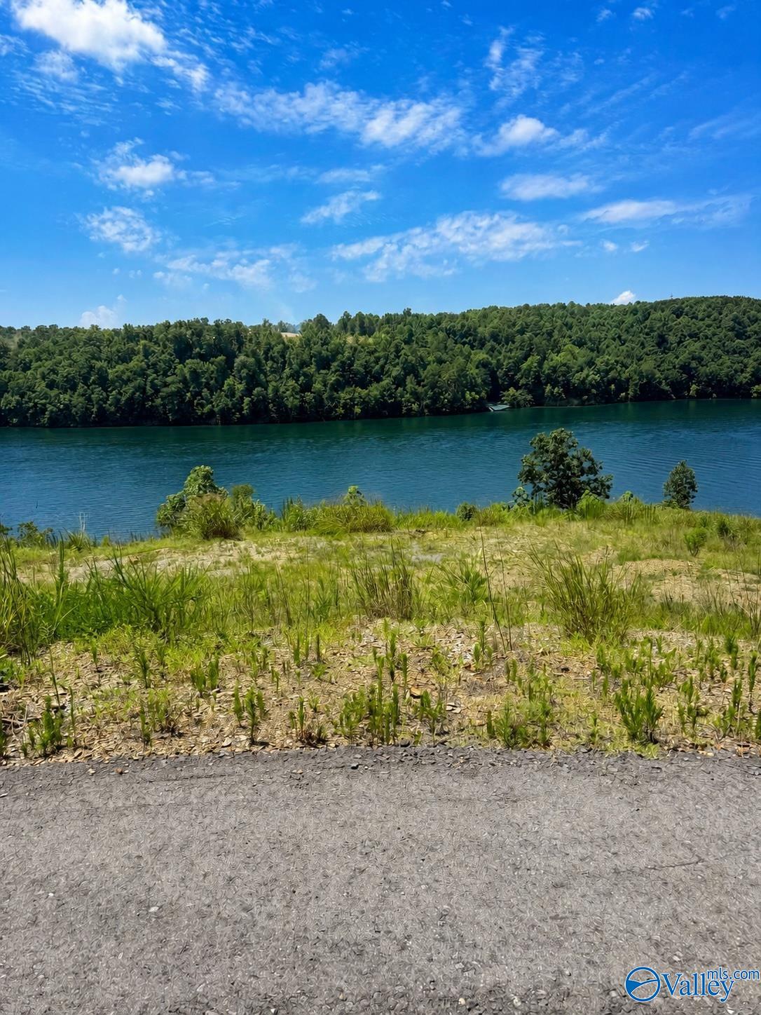 Lot W2 County Road 448