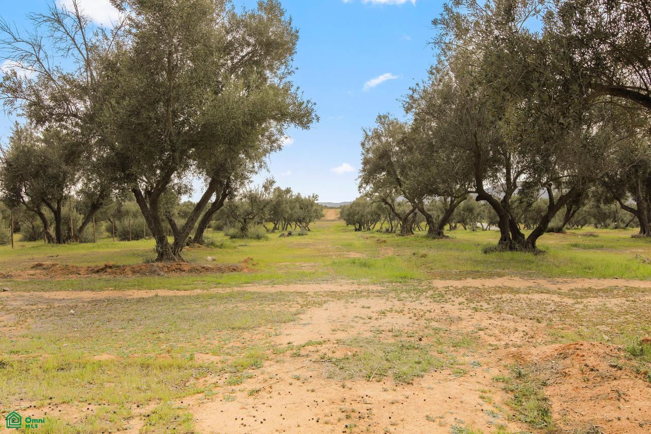 Valle De Guadalupe Rancho Vista