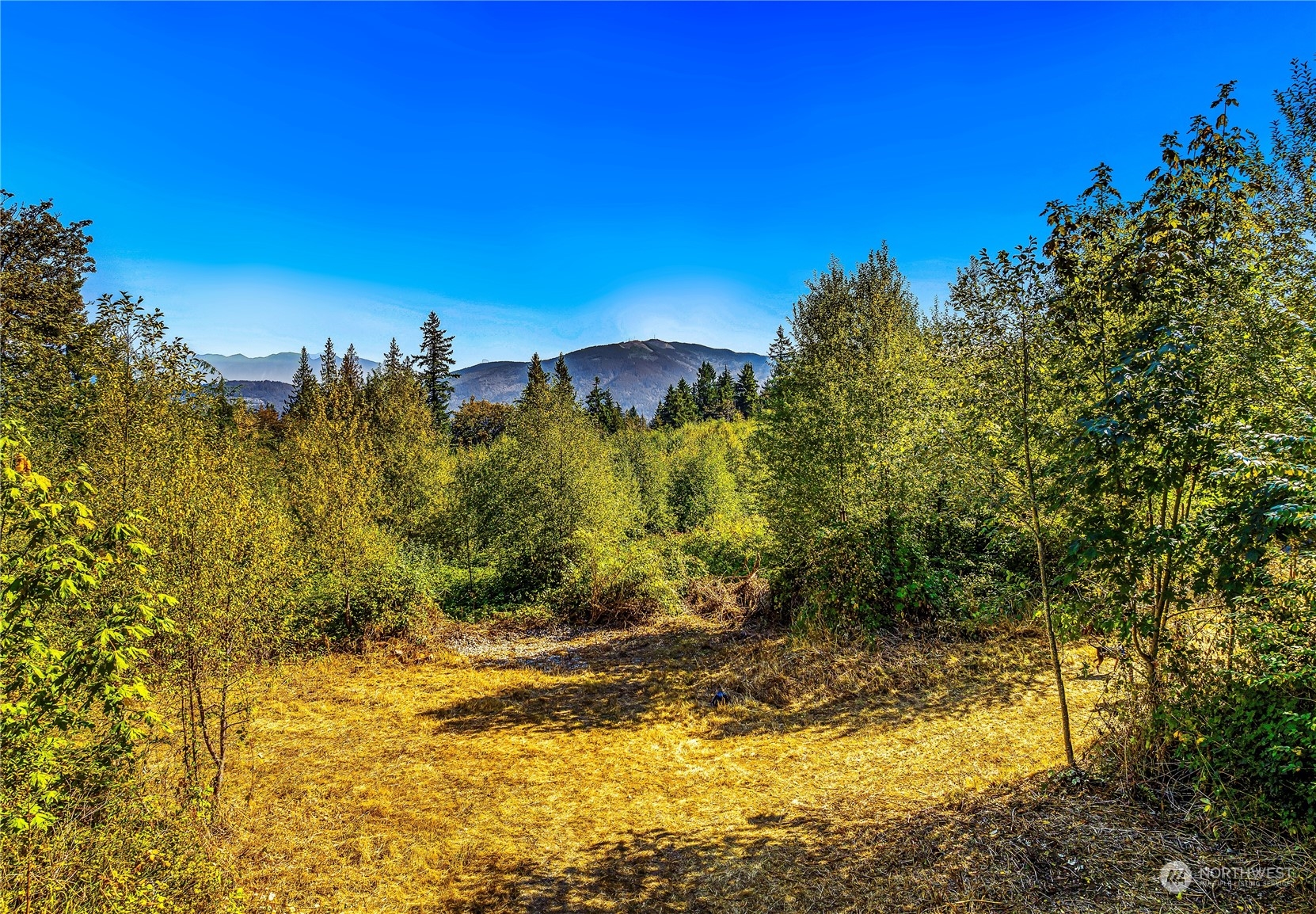 18500 SE 65th Place