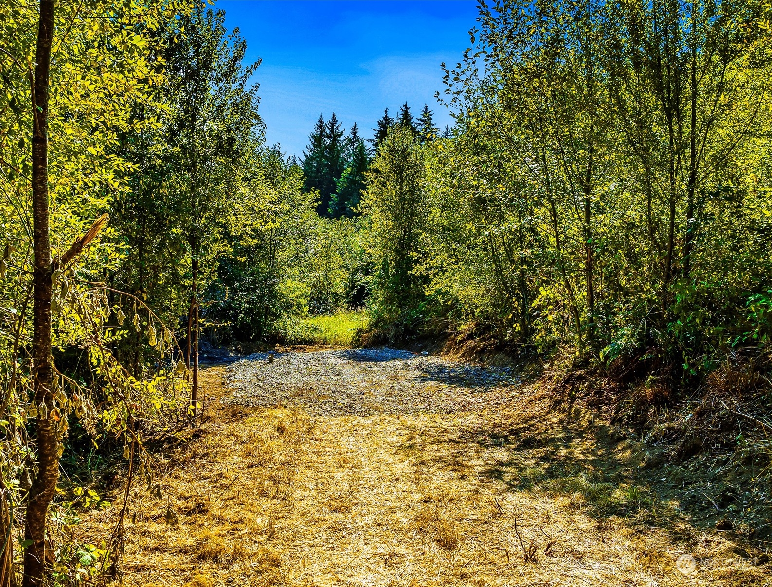18500 SE 65th Place