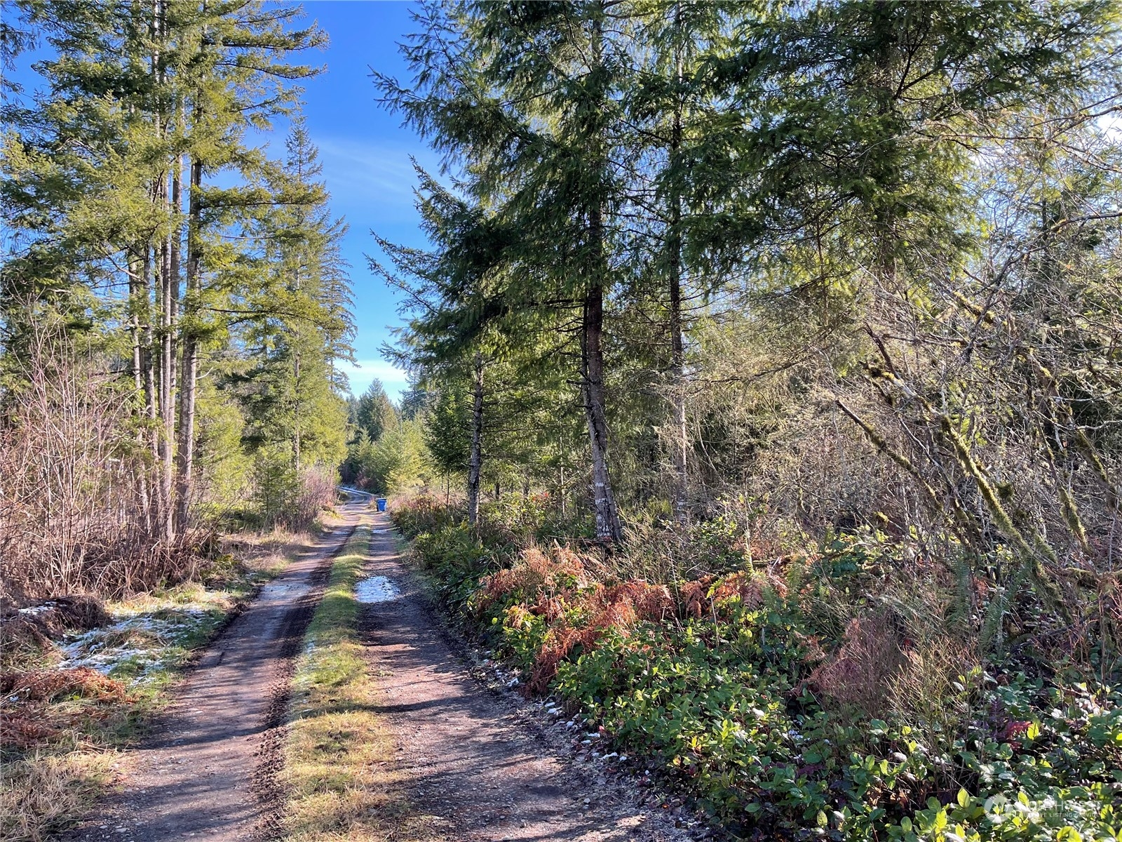 19 x Mountain Sun Road