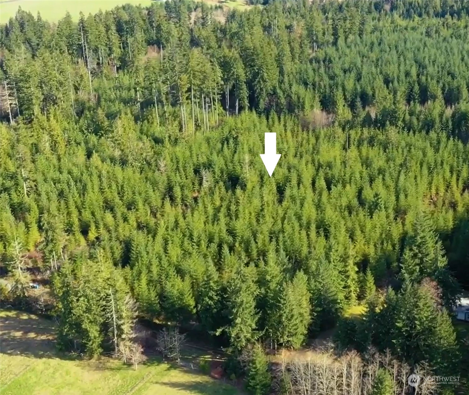 19 x Mountain Sun Road