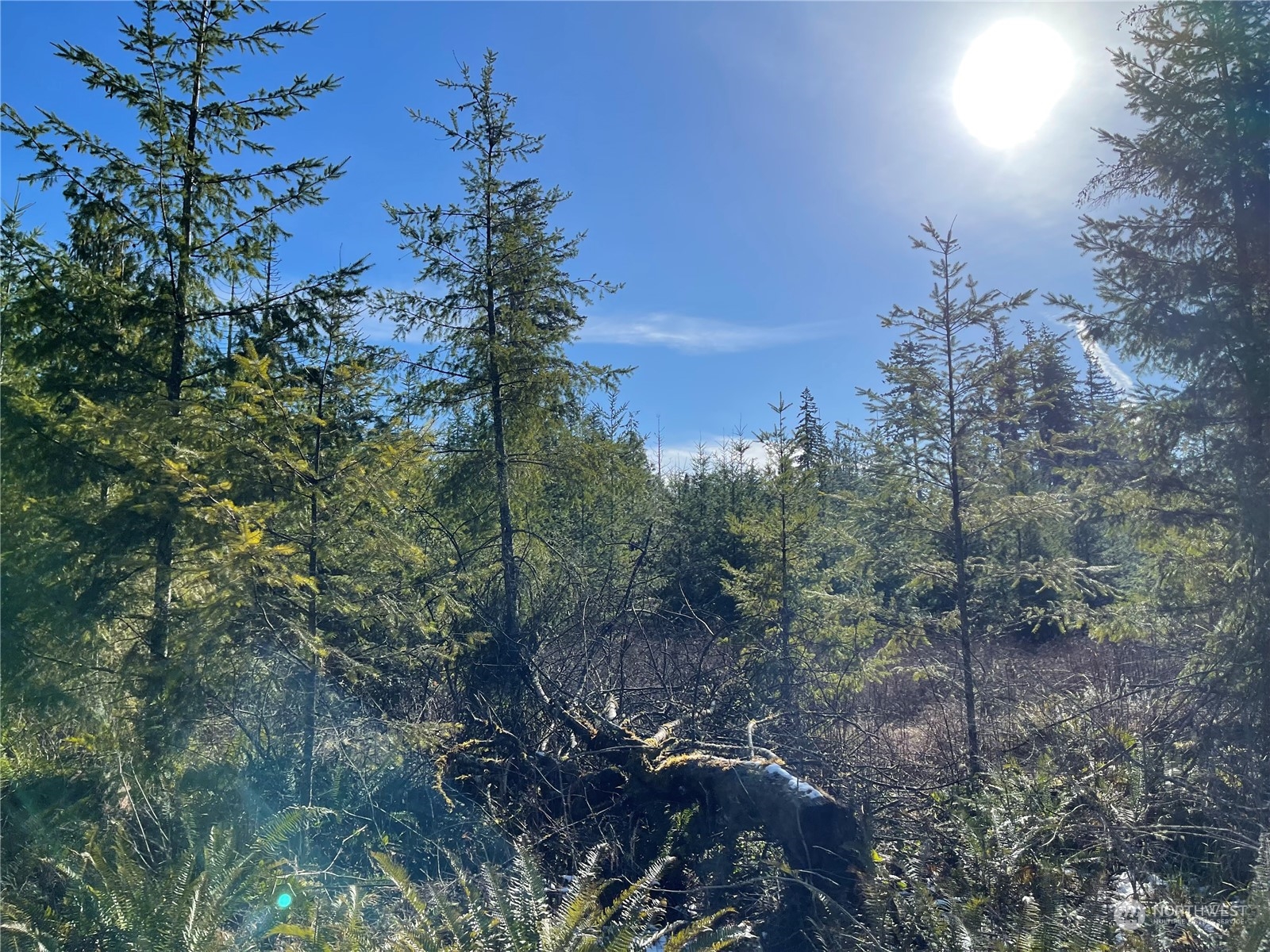 19 x Mountain Sun Road