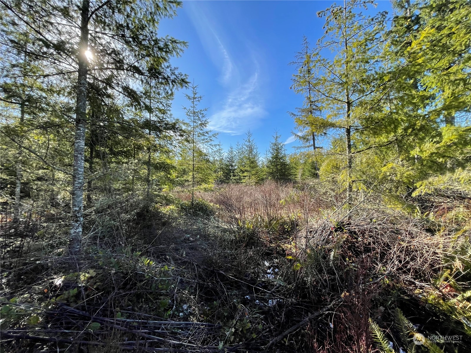 19 x Mountain Sun Road