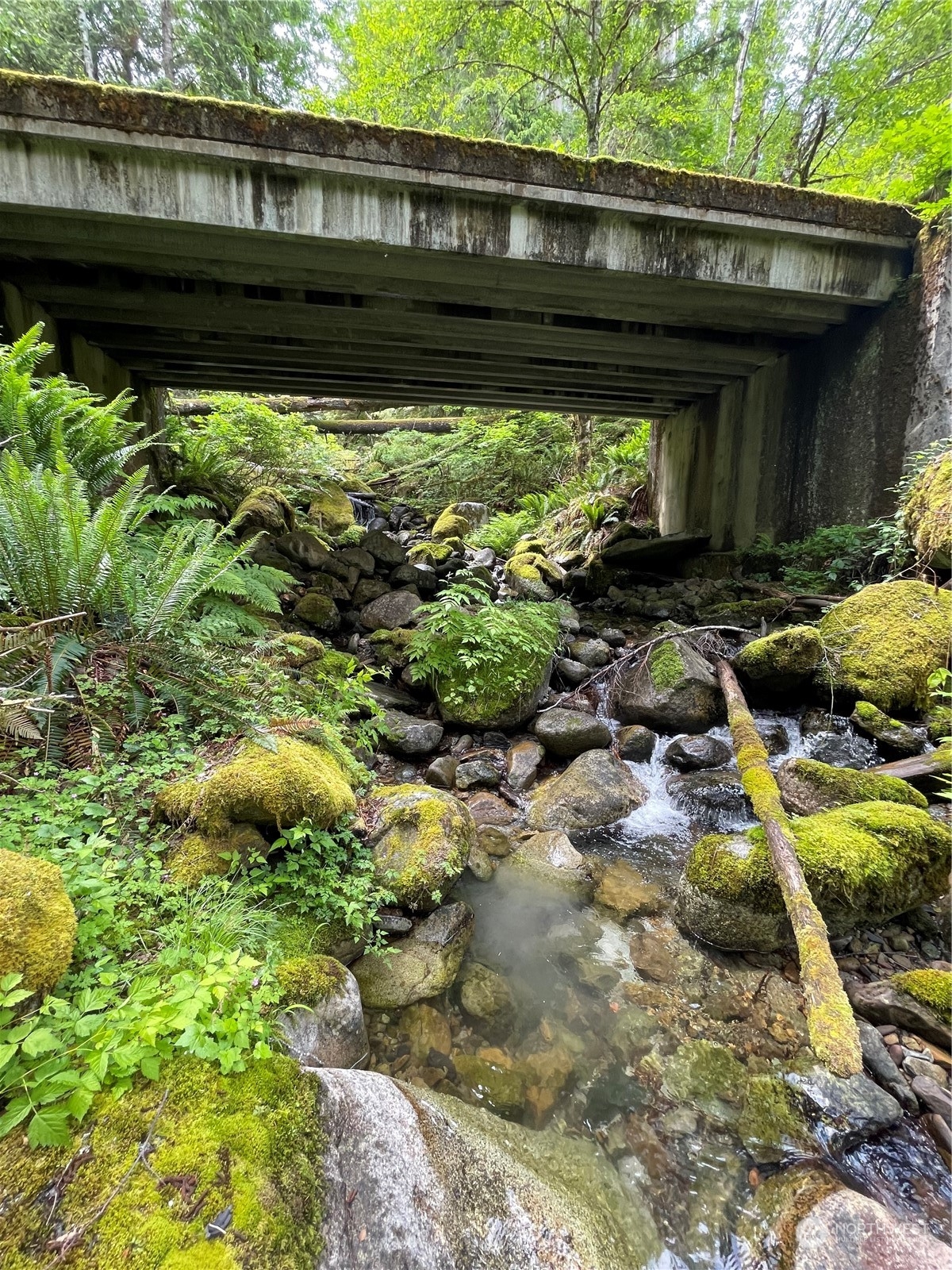 0 XX Anthracite Creek Road