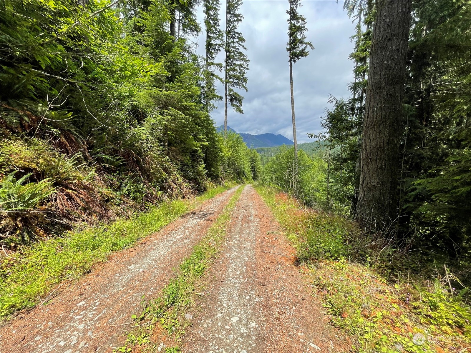 0 XX Anthracite Creek Road