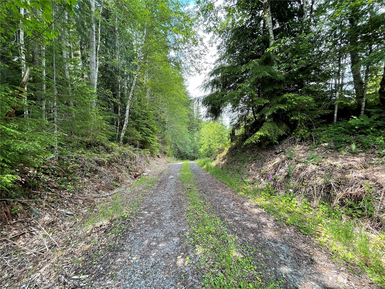0 XX Anthracite Creek Road