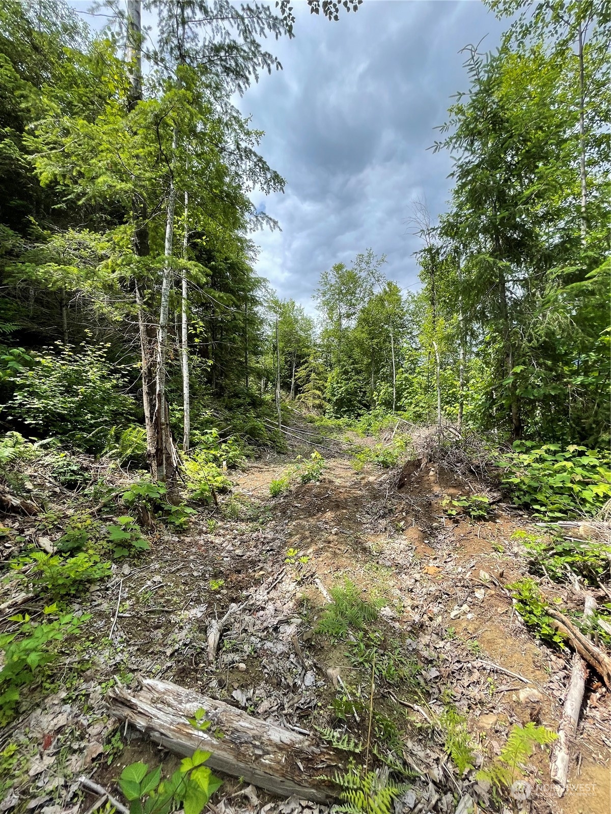 0 XX Anthracite Creek Road
