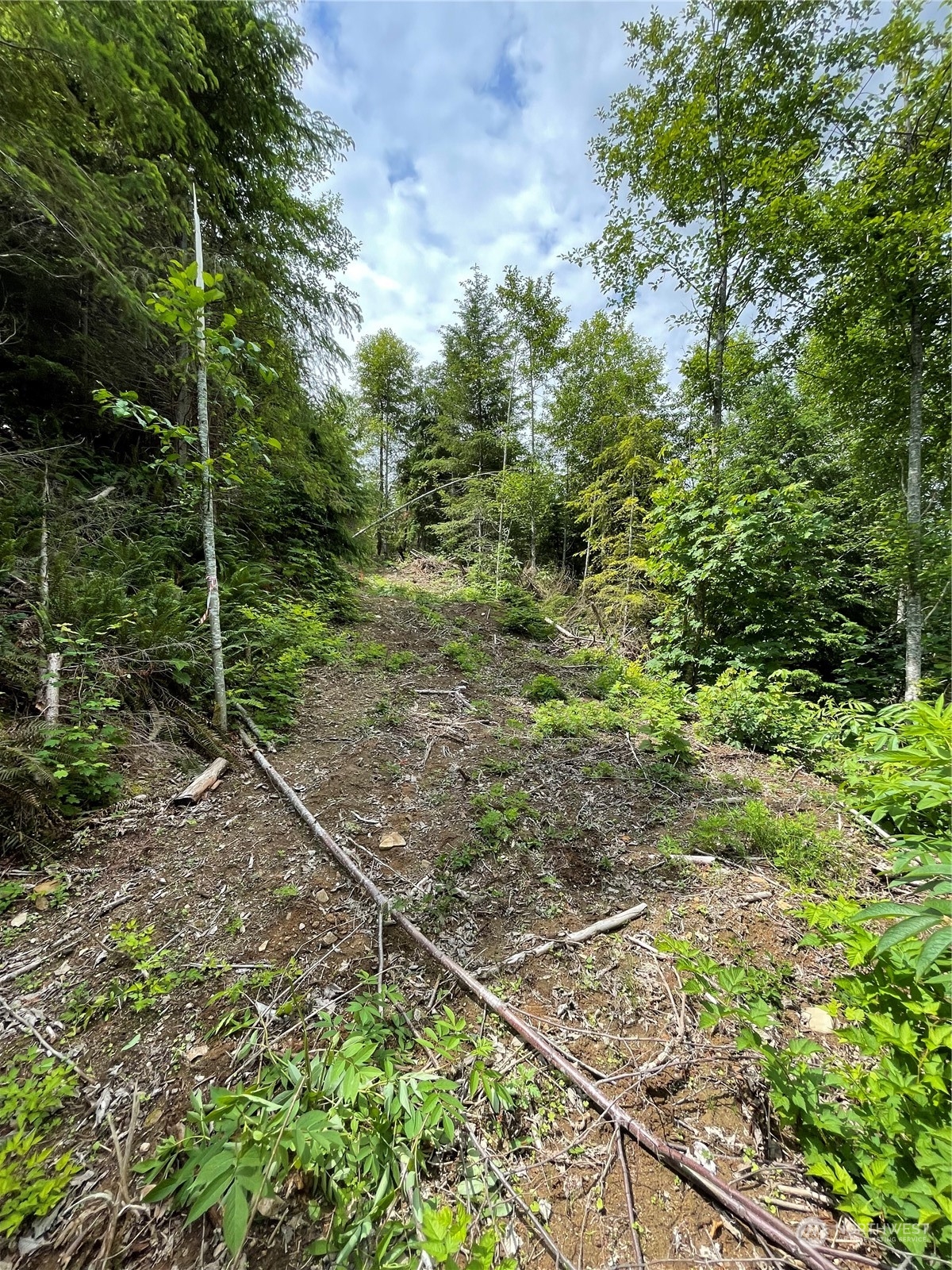 0 XX Anthracite Creek Road