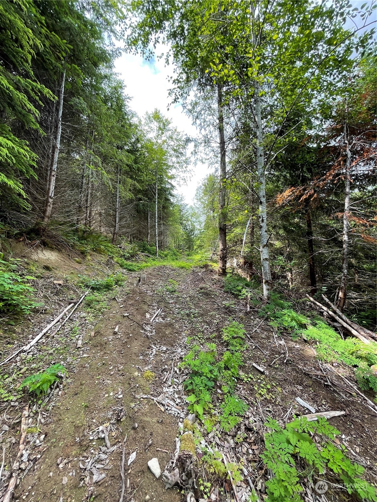 0 XX Anthracite Creek Road