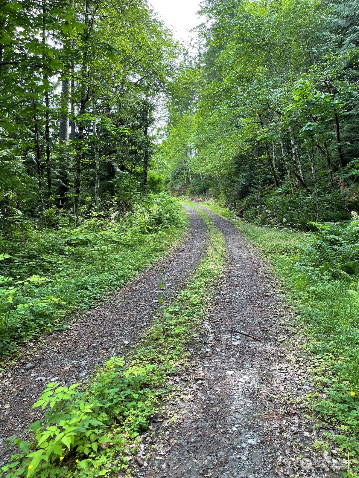 0 XX Anthracite Creek Road