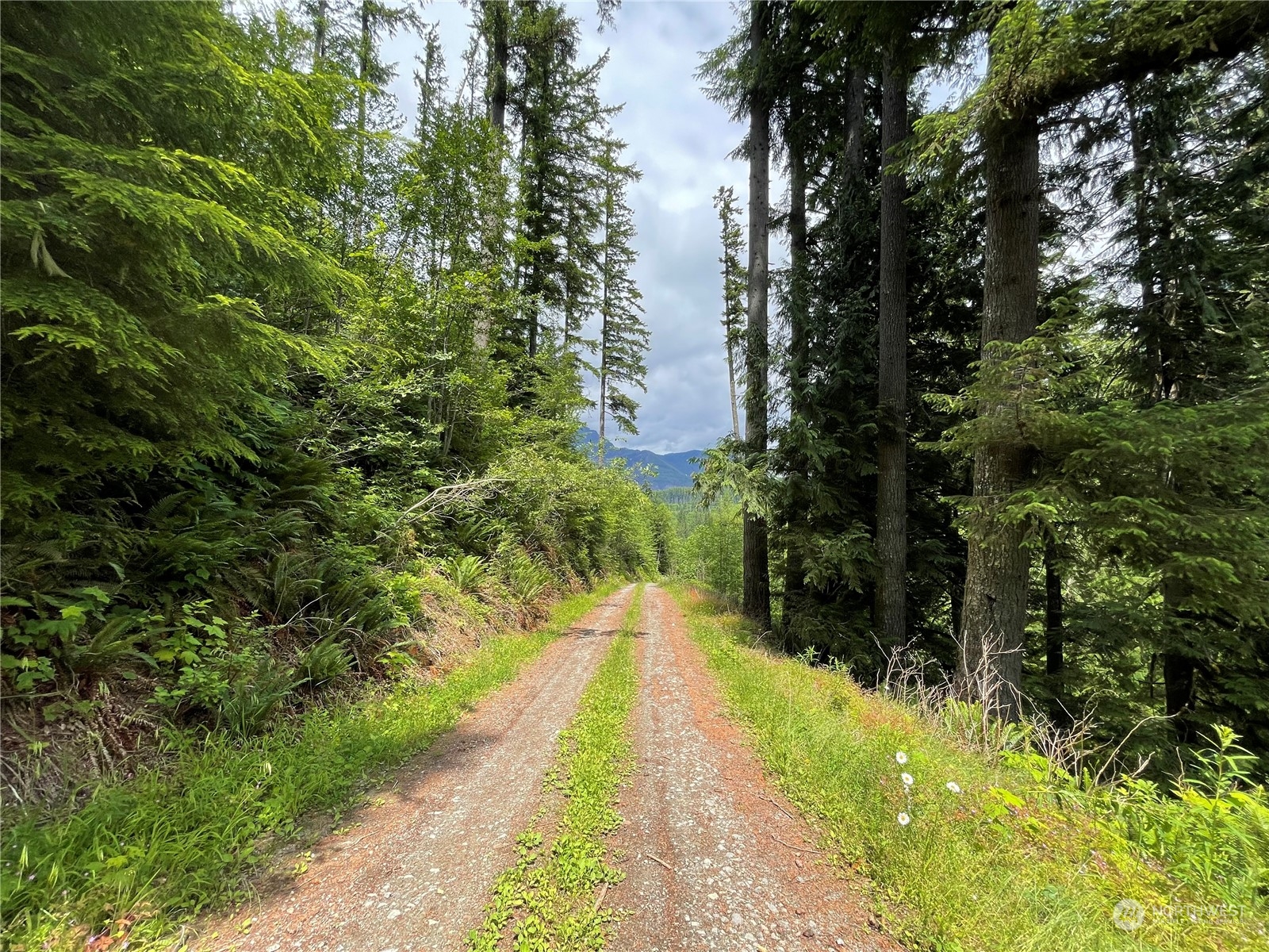 0 XX Anthracite Creek Road