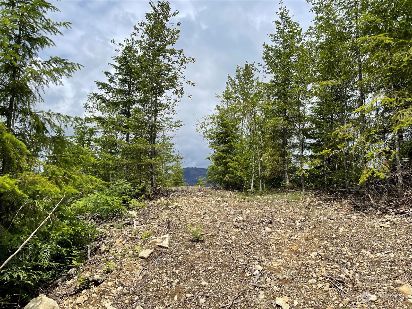 0 XX Anthracite Creek Road